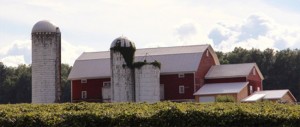Stever Hill Vineyard Barn