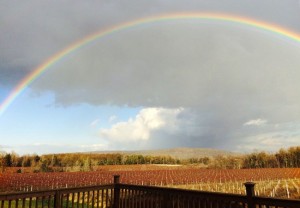 stever hill vineyards full rainbow