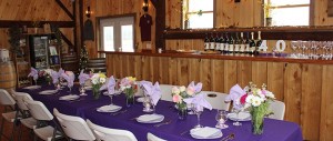 stever hill vineyards private events